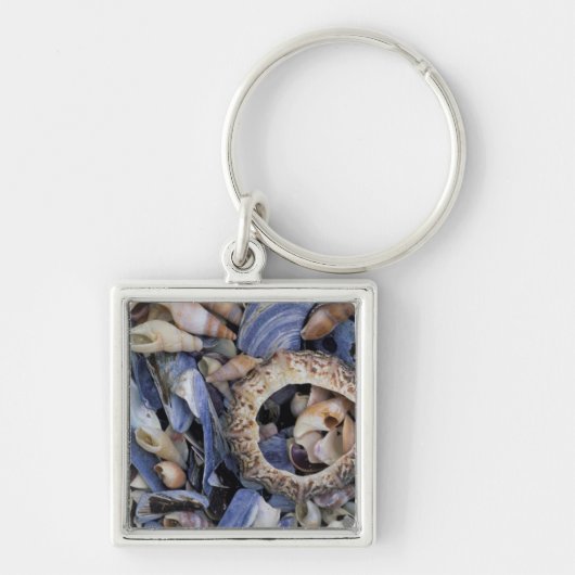 Porte-clés Coquillages, Le Cap, Cap occidental (Devant)