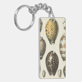 Porte-clés Coquillages uniquement formés (Devant gauche)