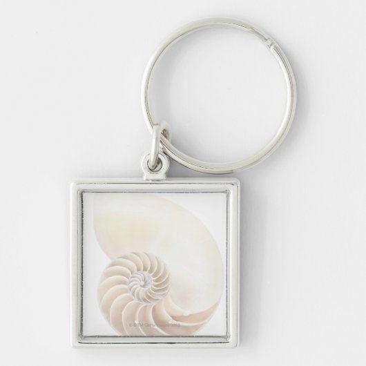 Porte-clés Coquille de Nautilus, plan rapproché (Devant)
