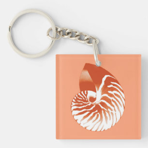 Porte-clés Coquille de Nautilus - terre cuite et blanc