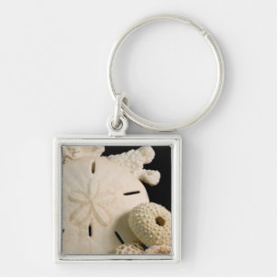 Porte-clés Coquilles blanches et dollar de sable