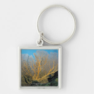 Porte-clés Corail de Gorgonian