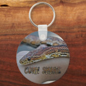 PORTE-CLÉS CORN SNAKE (Recto)
