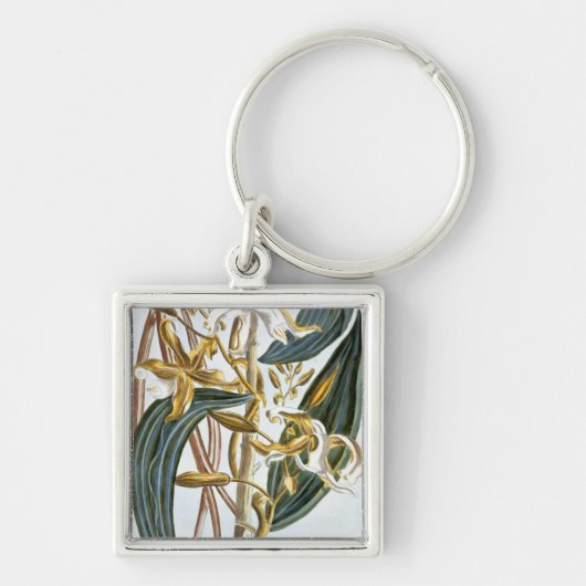 Porte-clés Cosses de vanille, plat 65, de 'collection (Devant)