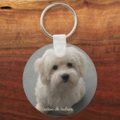 Porte-clés Coton de Tulear (Recto)