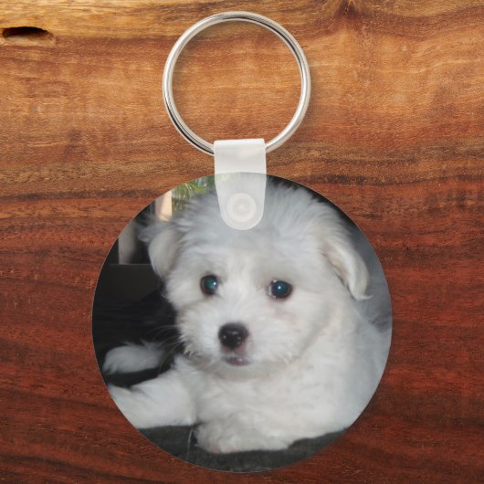Porte-clés Coton De Tulear (Recto)