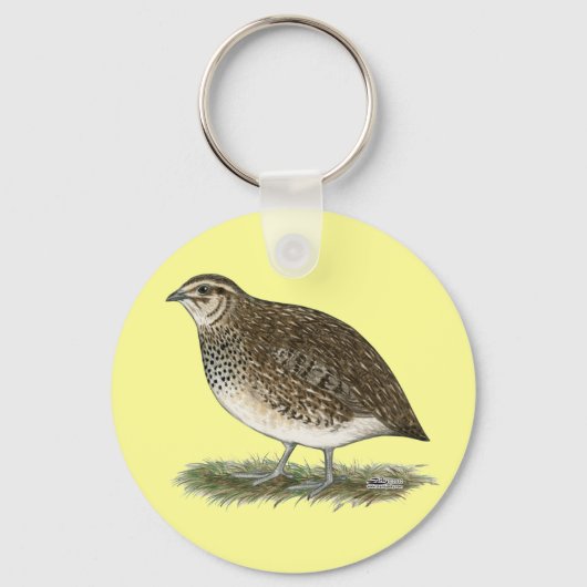 Porte-clés Coturnix Quail (Recto)