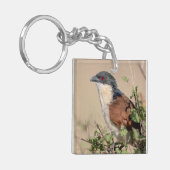 Porte-clés Coucal de Burchell (Devant gauche)