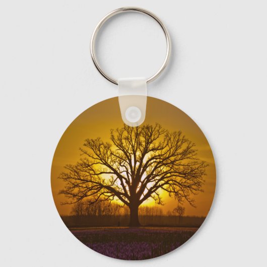 Porte-clés Couché de soleil de chêne de Bur (Recto)