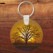 Porte-clés Couché de soleil de chêne de Bur (Recto)