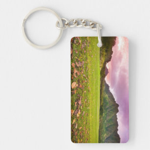 Porte-clés Coucher du soleil jurassique