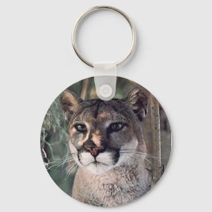 Porte-clés cougar assis