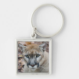 Porte-clés Couguar, lion de montagne, panthère de Floride, Pu