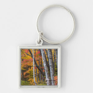 Porte-clés Couleur d'automne dans la forêt près de Copper Har