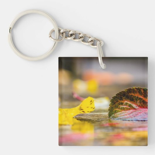 Porte-clés Couleurs d'automne (Devant)