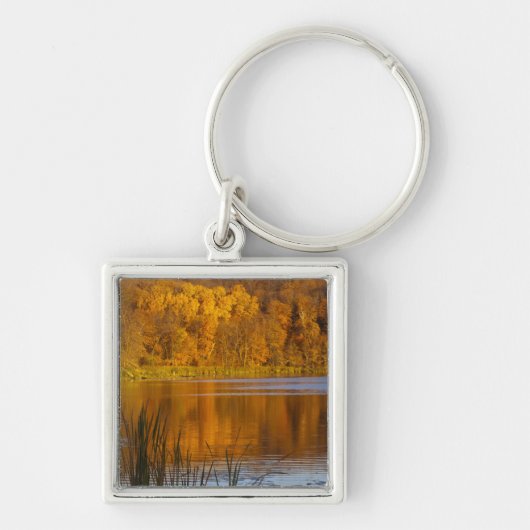 Porte-clés Couleurs d'automne dans le parc d'état de Maplewoo (Devant)