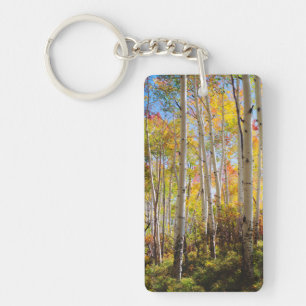 Porte-clés Couleurs d'automne des arbres d'Aspen 5