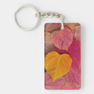 Porte-clés Couleurs d'automne sur feuilles tombées de Forest