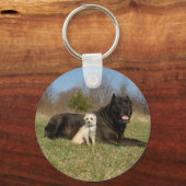 Porte-clés Couple de chien mignon (Recto)