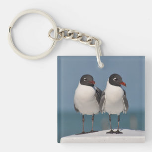 Porte-clés Couple de mouettes à tête noire