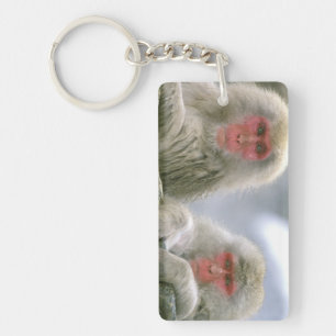 Porte-clés Couple de singes des neiges, Macaque japonais,