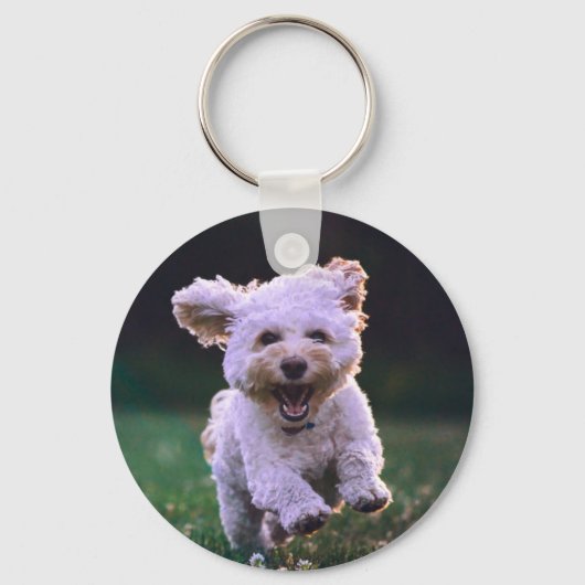 Porte-clés Courir un chien blanc de caniche mignon chien (Recto)
