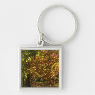 Porte-clés Couvert de feuilles d'automne II Photographie d'au