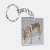 Porte-clés Coyote (Devant gauche)