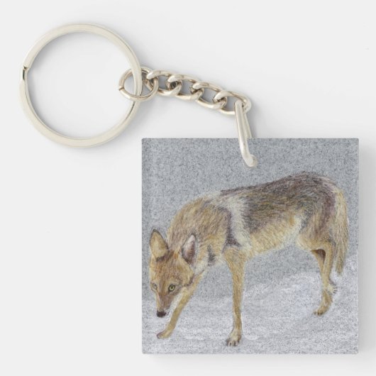 Porte-clés Coyote (Devant)