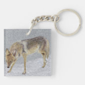 Porte-clés Coyote (Dos)