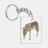 Porte-clés Coyote (Devant gauche)
