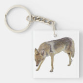Porte-clés Coyote (Devant)