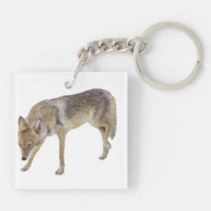 Porte-clés Coyote