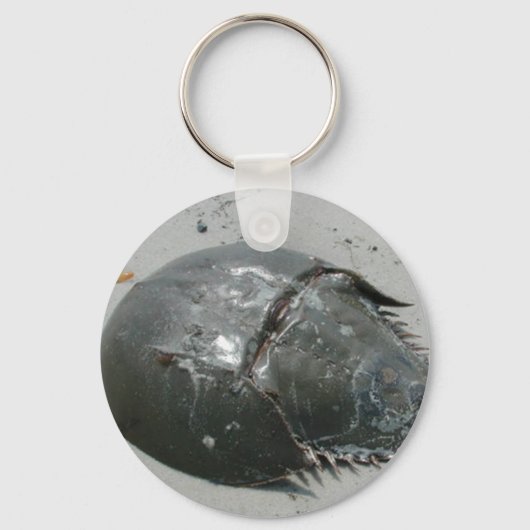 Porte-clés Crabe du fer à cheval (Recto)