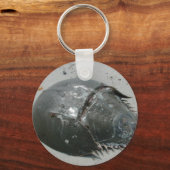 Porte-clés Crabe du fer à cheval (Recto)