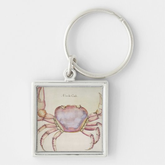 Porte-clés Crabe terrestre (Devant)