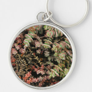 Porte-clés Crassula perforata