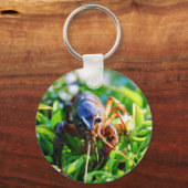 Porte-clés Crawfish Crawdads Épis (Recto)
