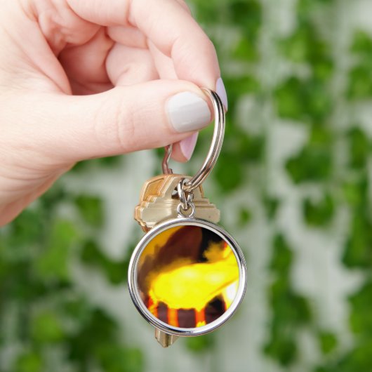 Porte-clés Creation of the dragon cat (main)