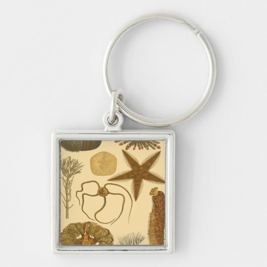 Porte-clés Créatures sous-marines (Devant)