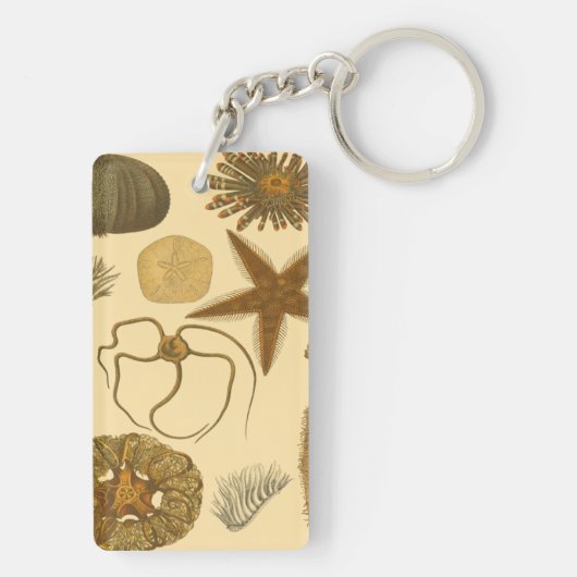 Porte-clés Créatures sous-marines (Dos)