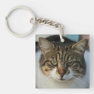 Porte-clés Créez Votre Propre Photo de Compagnon à Quatre Pat