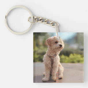 Porte-clés Créez Votre Propre Photo de Compagnon à Quatre Pat