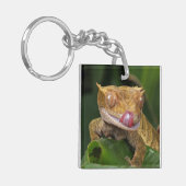 Porte-clés Crested Gecko (Devant gauche)