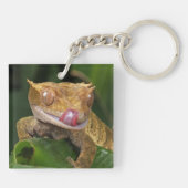 Porte-clés Crested Gecko (Dos)