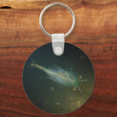 Porte-clés crevette (Recto)