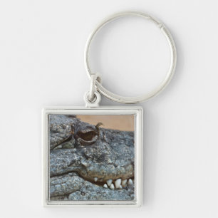 Porte-clés Crocodile