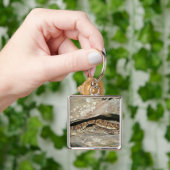 Porte-clés Crotale dans le parc national de Shenandoah (main)
