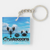 Porte-clés Crustacés - Arthropodes Aquatiques (Dos)