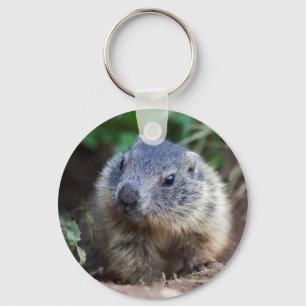 Porte-clés curieux de Marmot de bébé